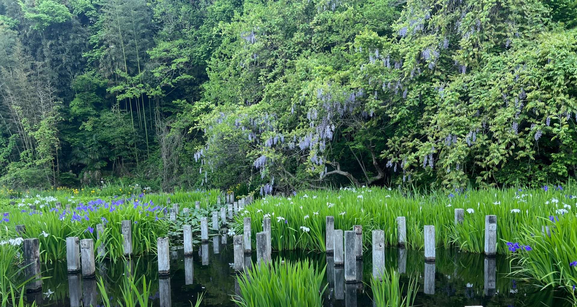 ５月が始まりました～自然の恵みと共に心と体を整える【三合参り①】