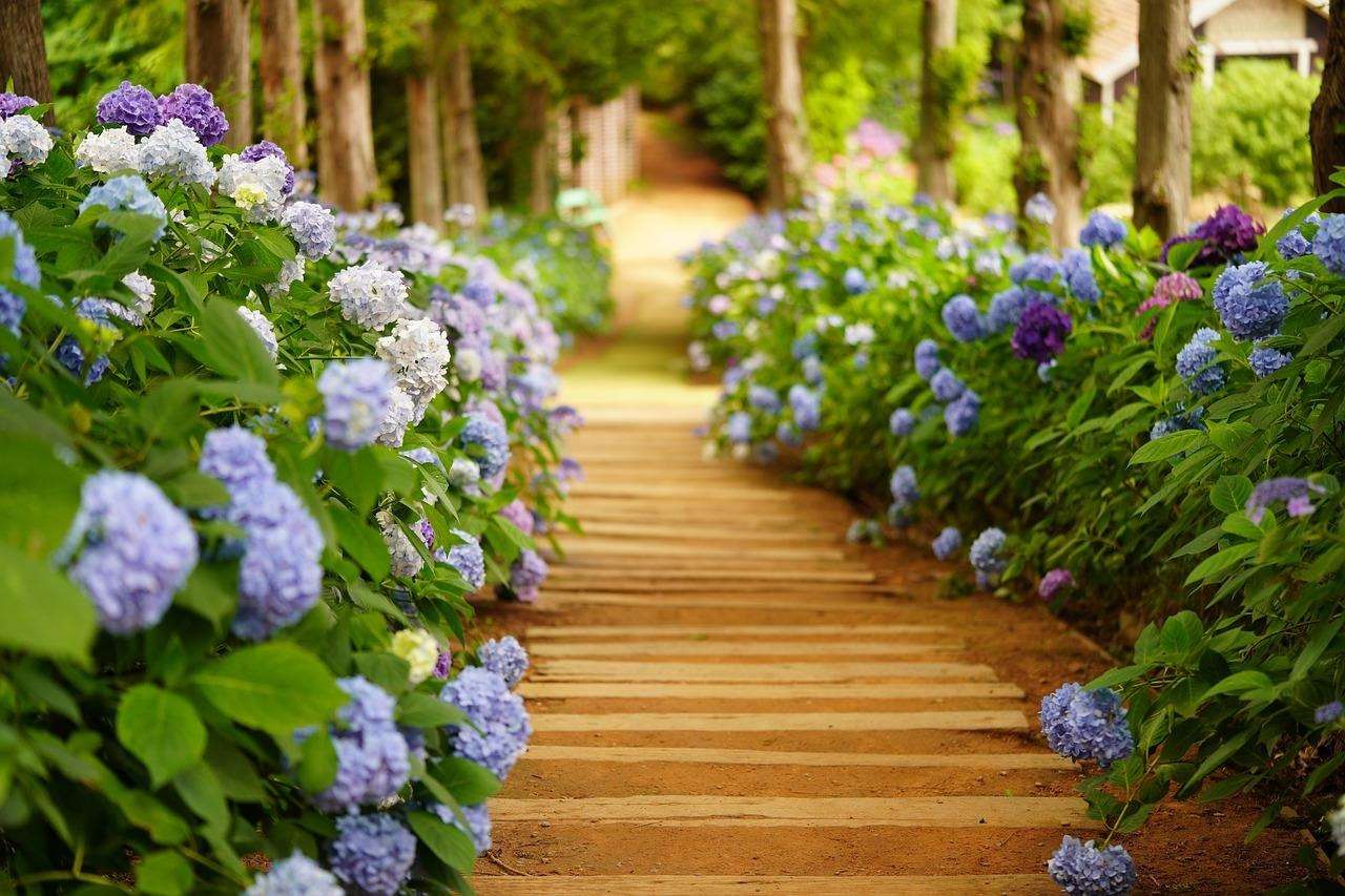 【６月限定キャンペーンのお知らせ】〜梅雨時期こそ、自分を整えるひとときを〜