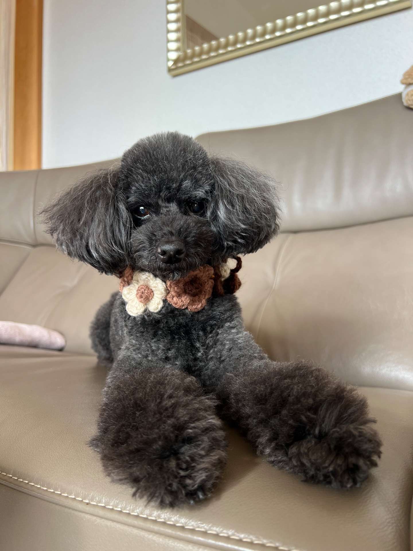 動物たちが感じる2026年の気配とココちゃんのメッセージ